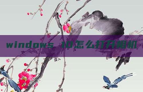 windows 10怎么打开相机