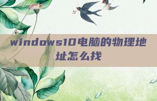 windows10电脑的物理地址怎么找