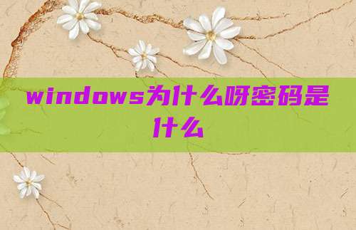 windows为什么呀密码是什么