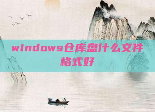 windows仓库盘什么文件格式好