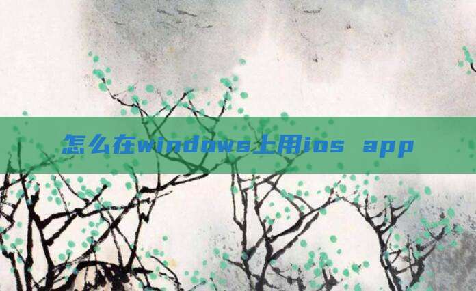 怎么在windows上用ios app