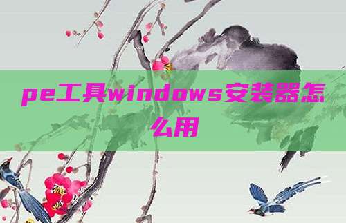 pe工具windows安装器怎么用