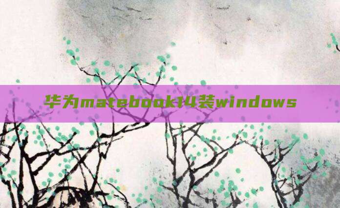 华为matebook14装windows