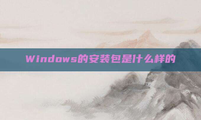 Windows的安装包是什么样的