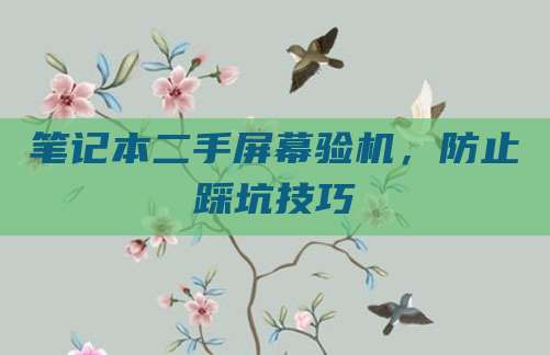 笔记本二手屏幕验机,防止踩坑技巧