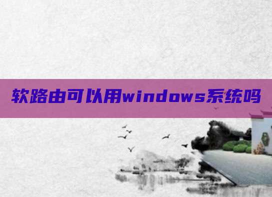 软路由可以用windows系统吗