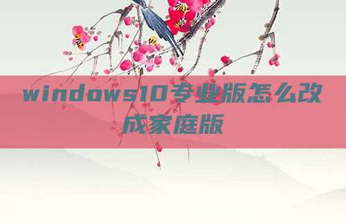 windows10专业版怎么改成家庭版