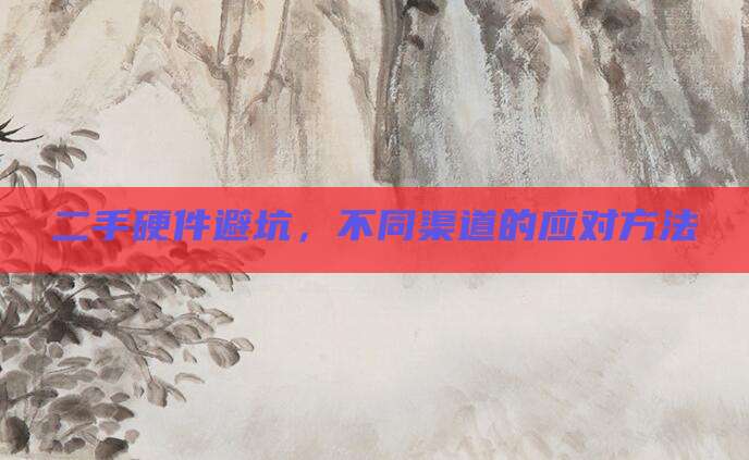 二手硬件避坑,不同渠道的应对方法