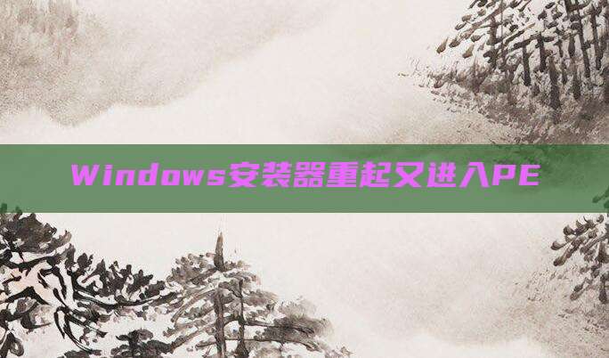 Windows安装器重起又进入PE