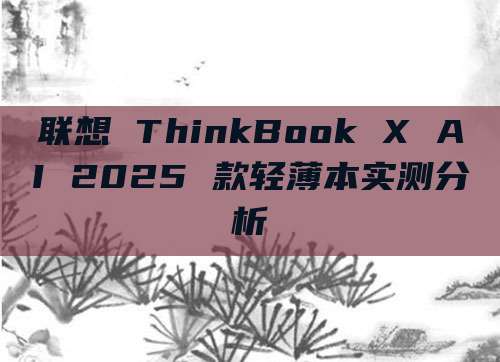 联想 ThinkBook X AI 2025 款轻薄本实测分析