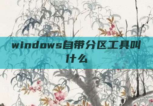 windows自带分区工具叫什么