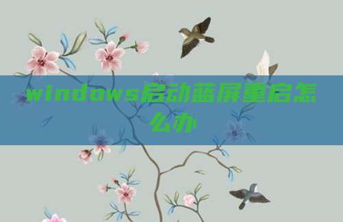 windows启动蓝屏重启怎么办