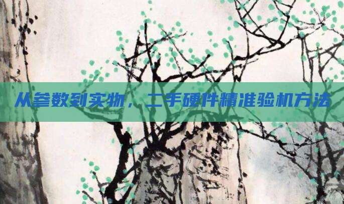 从参数到实物,二手硬件精准验机方法
