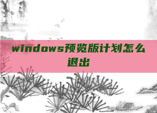 windows预览版计划怎么退出