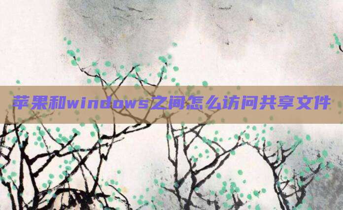 苹果和windows之间怎么访问共享文件
