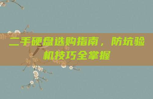 二手硬盘选购指南,防坑验机技巧全掌握