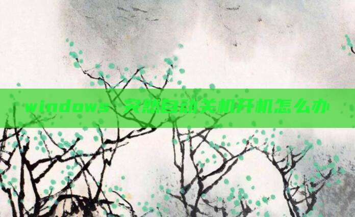 windows 突然自动关机开机怎么办