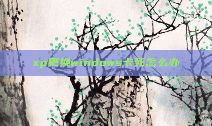 xp更换windows卡死怎么办