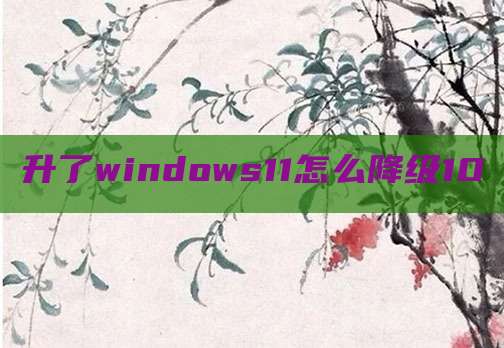 升了windows11怎么降级10