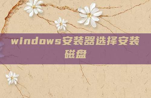 windows安装器选择安装磁盘