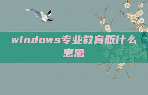 windows专业教育版什么意思