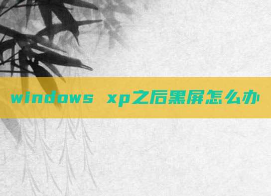windows xp之后黑屏怎么办