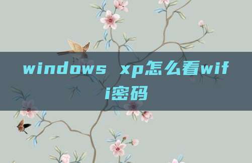 windows xp怎么看wifi密码