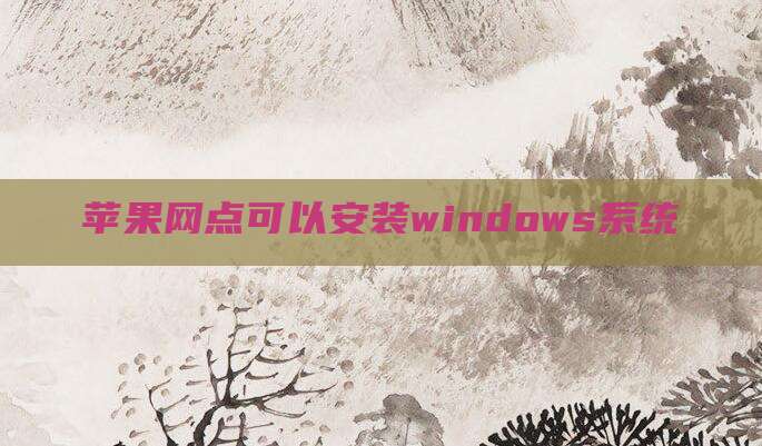 苹果网点可以安装windows系统