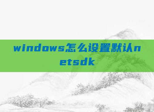 windows怎么设置默认netsdk