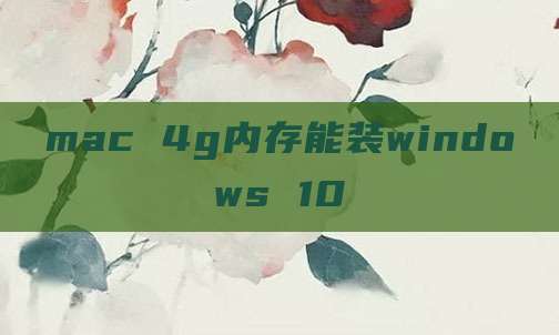 mac 4g内存能装windows 10
