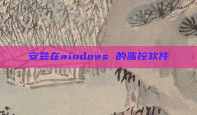 安装在windows 的监控软件