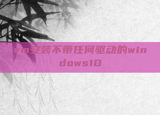 vm安装不带任何驱动的windows10