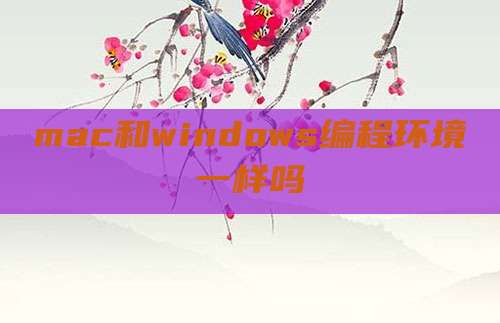 mac和windows编程环境一样吗