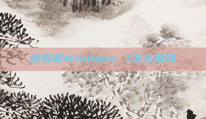 虚拟机Windows 7怎么联网