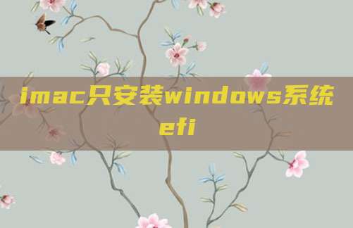 imac只安装windows系统efi