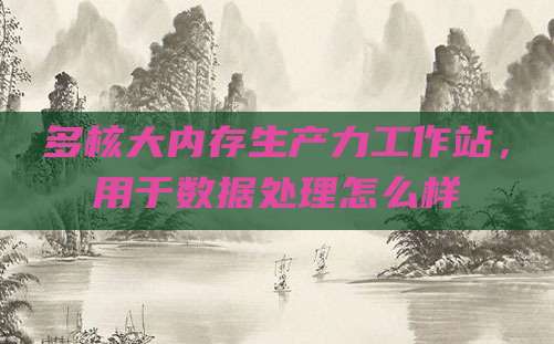 多核大内存生产力工作站,用于数据处理怎么样