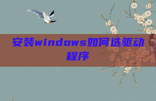 安装windows如何选驱动程序