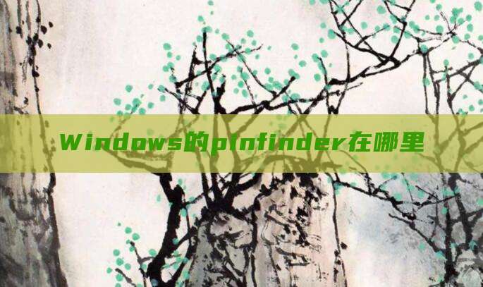 Windows的pinfinder在哪里