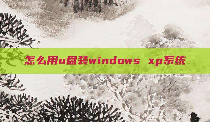怎么用u盘装windows xp系统