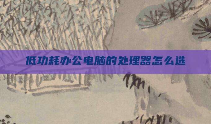 低功耗办公电脑的处理器怎么选
