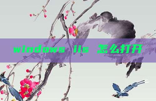 windows iis 怎么打开