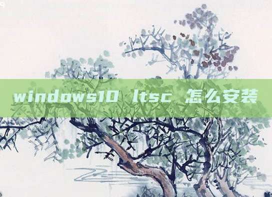 windows10 ltsc 怎么安装