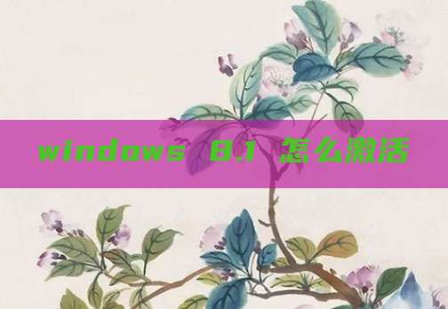 windows 8.1 怎么激活