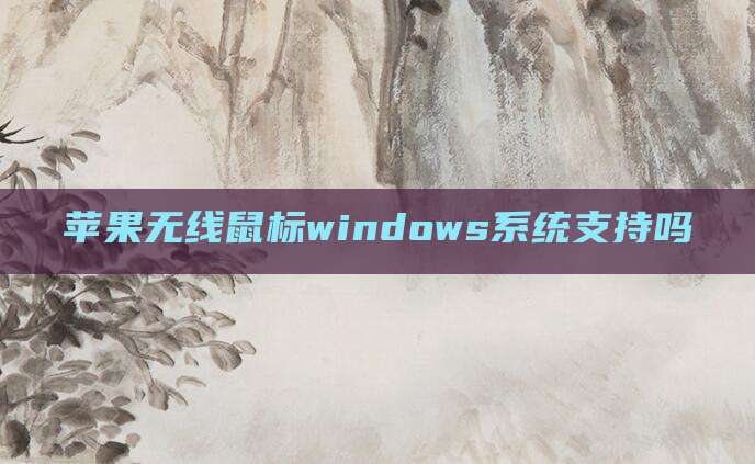 苹果无线鼠标windows系统支持吗