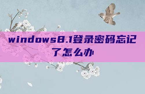 windows8.1登录密码忘记了怎么办