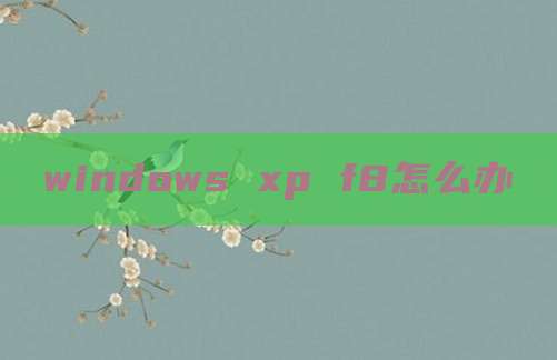 windows xp f8怎么办