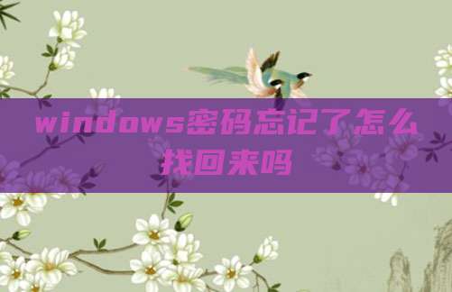 windows密码忘记了怎么找回来吗