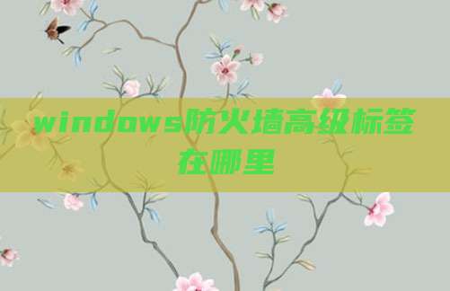 windows防火墙高级标签在哪里