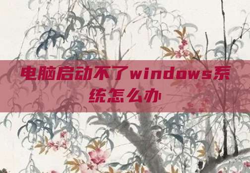 电脑启动不了windows系统怎么办