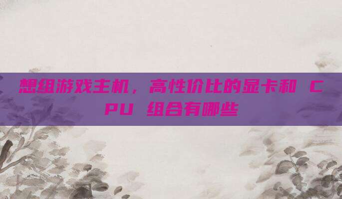 想组游戏主机,高性价比的显卡和 CPU 组合有哪些
